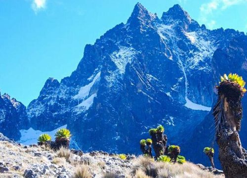 4 Days 3Nights Mount Kenya Trek Ascend Naro-Moru Route -Descend Sirimon Route