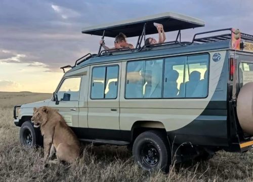 3Days 2Nights Wildlife Tour Masai Mara Game Reserve