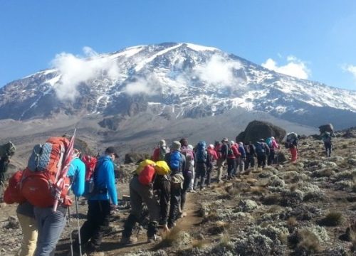 7 days Mount Kilimanjaro Marangu Route