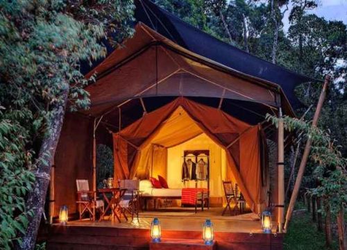 Discover Paradise: The Top 10 Luxury Accommodations in Kenya for 2026